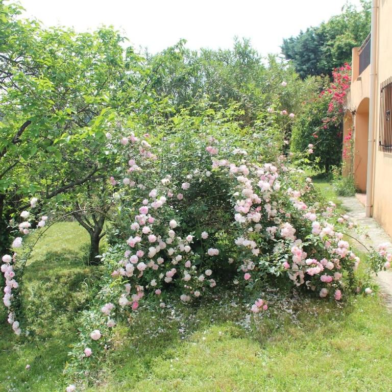 VILLA Les Coquelicots GRASSE proche CANNES - Deluxe Villa - 15