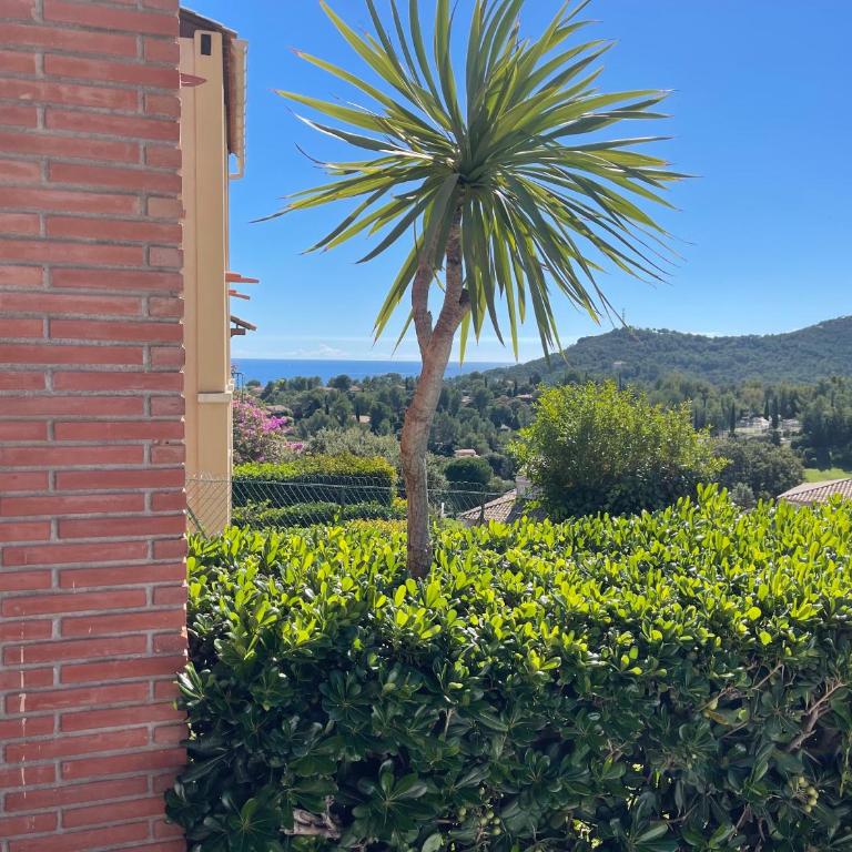 Village cap Esterel, piscine, plage - Apartamento con terraza - 40