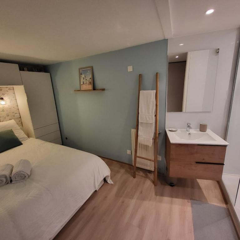 Les Glycines, T2 near downtown - Appartement 1 Chambre - 16