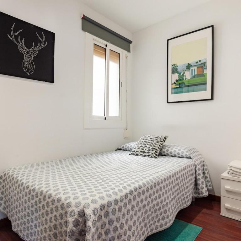 Camp nou Apartamento - Apartamento de 2 dormitorios - 17