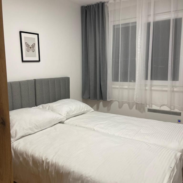 FlyInn Residence - Two-Bedroom Deluxe Apartment with Balcony - 6