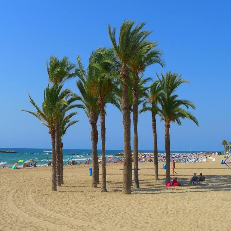 Encantador Apartamento en Primera Línea de Playa - Two-Bedroom Apartment - 22