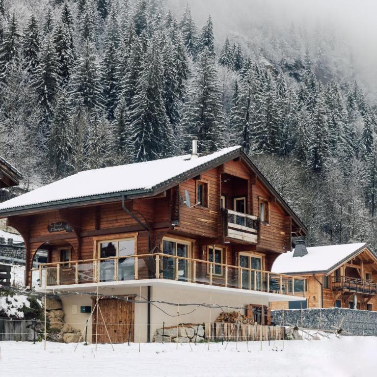 Chalet Le Saint Georges, Morzine, proche centre - Chalet - 24
