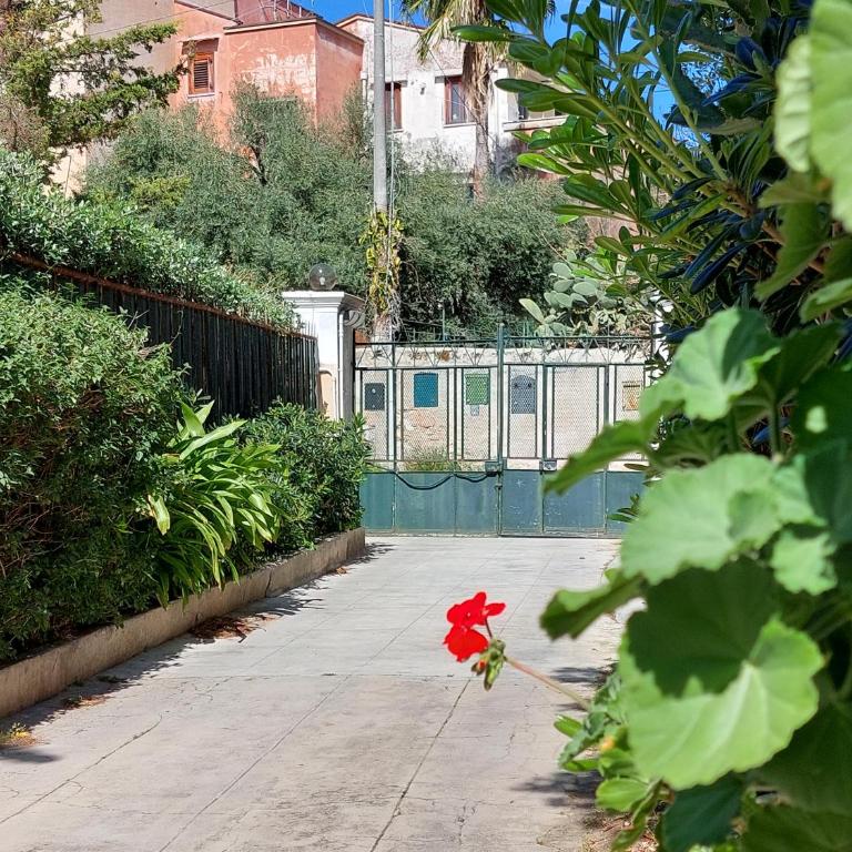 Salsedine Apartment - Appartamento con 1 Camera da Letto - 17