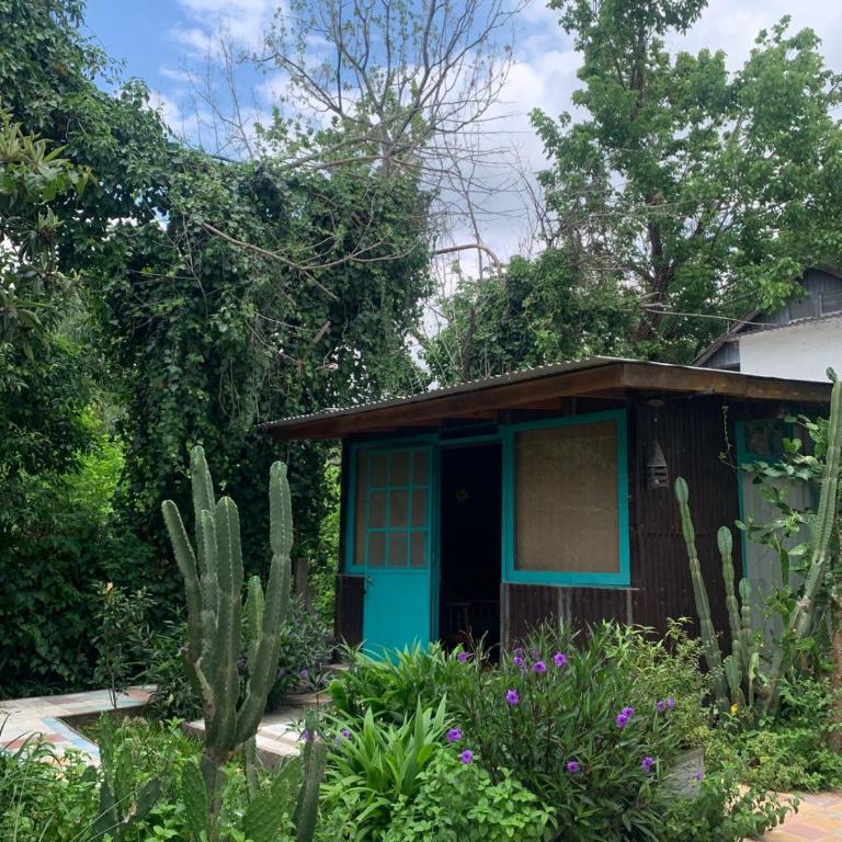 Edén, Los biguáes IV - Apartamento de 1 dormitorio - 4
