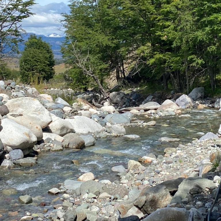 Cabaña con Vista Bosque y Río - One-Bedroom Apartment - 12
