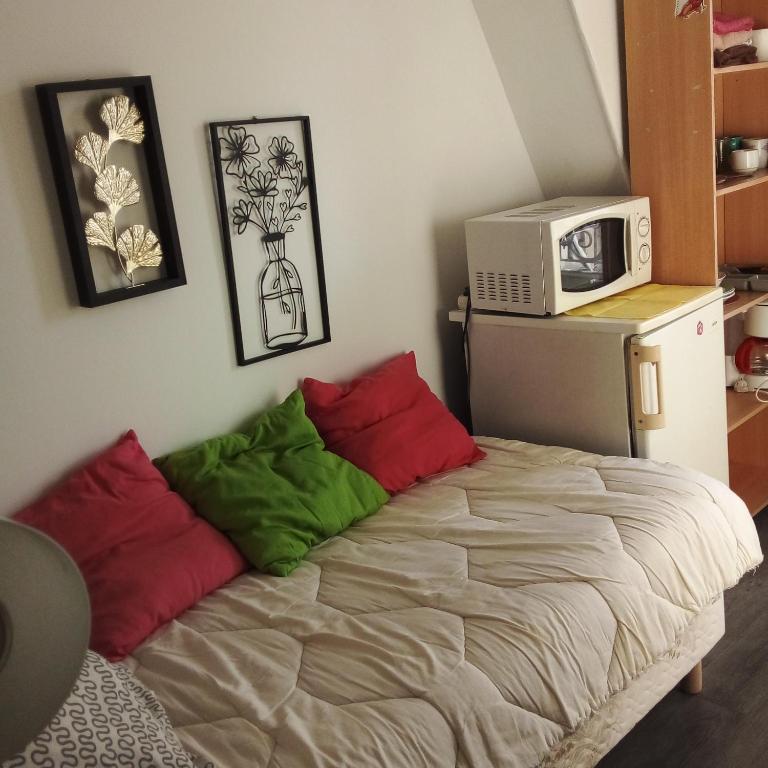 STUDIO ST MICHEL - Appartement 1 Chambre - 1