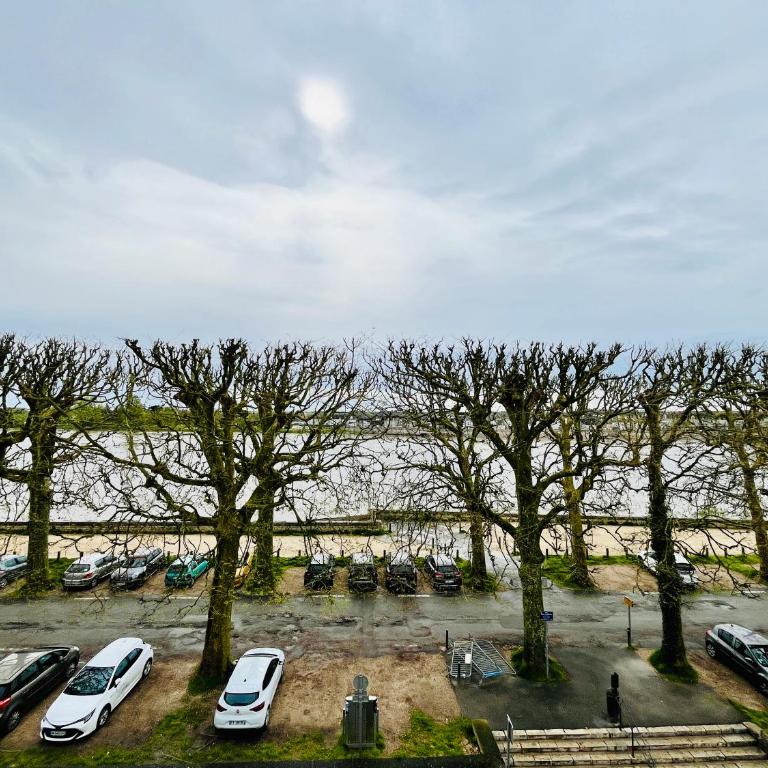 Hypercentre, spacieux, lumineux, climatisé, le Quai de Loire - Appartement - 19