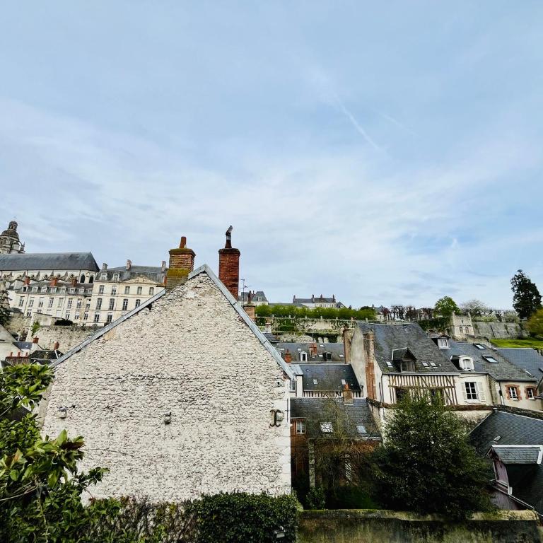 Hypercentre, spacieux, lumineux, climatisé, le Quai de Loire - Appartement - 35