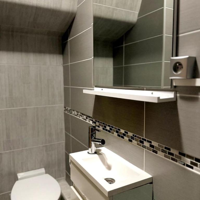 Palais des Sources Vichy - Appartamento con 1 Camera da Letto - 5