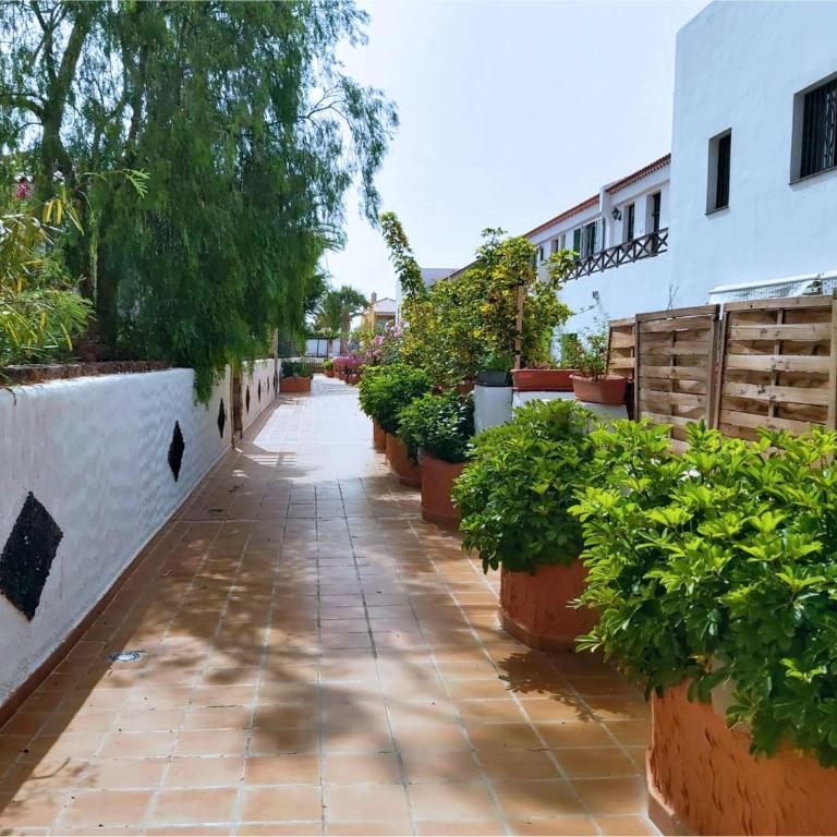 Live Costa del silencio Don Jose 2-0-5 - Apartamento de 1 dormitorio - 19