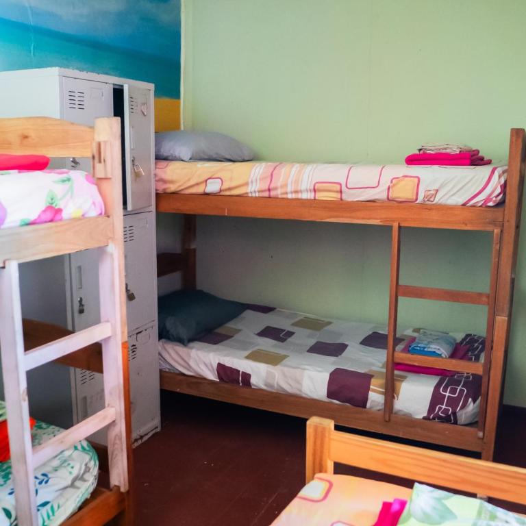 La Rubia Hostel - Single Bed in Mixed Dormitory Room - 6