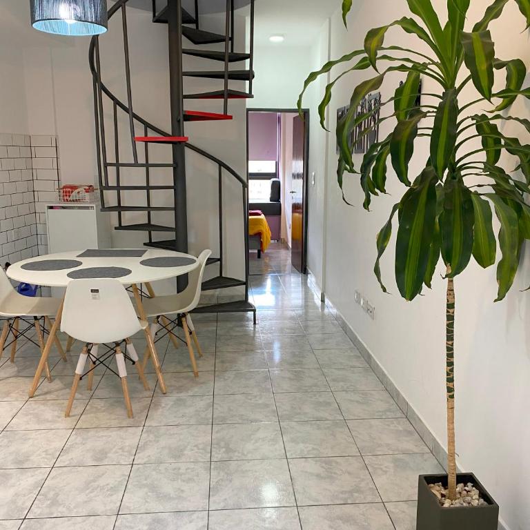 Dúplex Cielo Raso - Apartamento de 2 dormitorios - 25