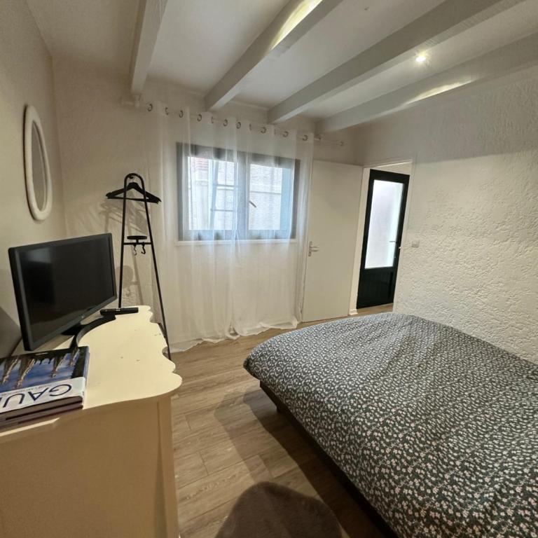 Timounyan T1 N24 centre ville Animaux acceptés - One-Bedroom Apartment - 2
