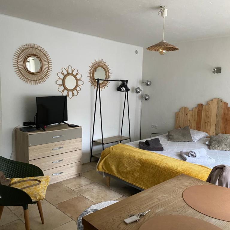 Studio La Source Claire - Appartement 1 Chambre - 1