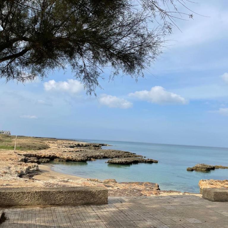 La terrazza di Lillo - Appartamento con 1 Camera da Letto - 62