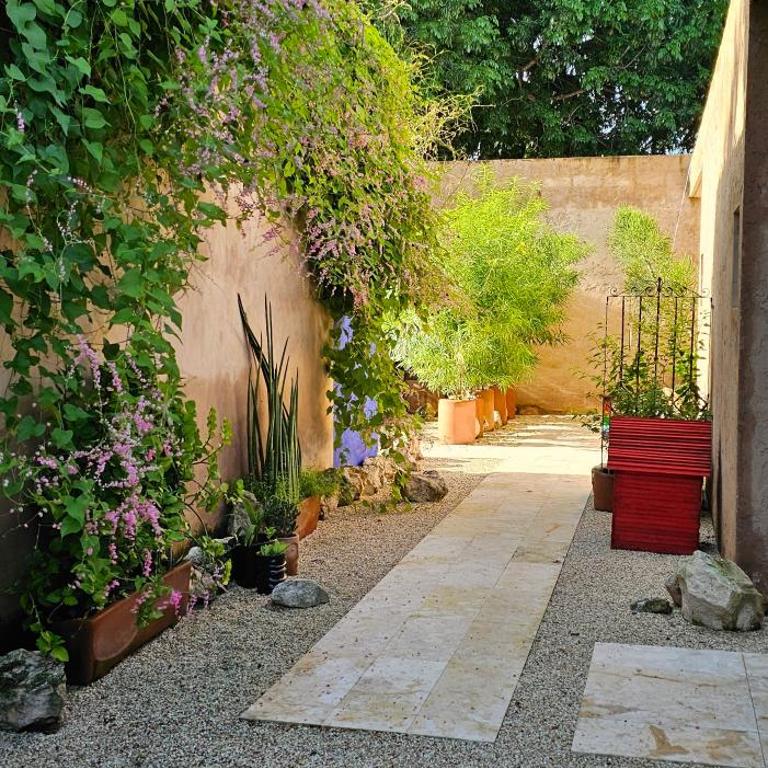 Casitas Merida - Standard Studio - 5