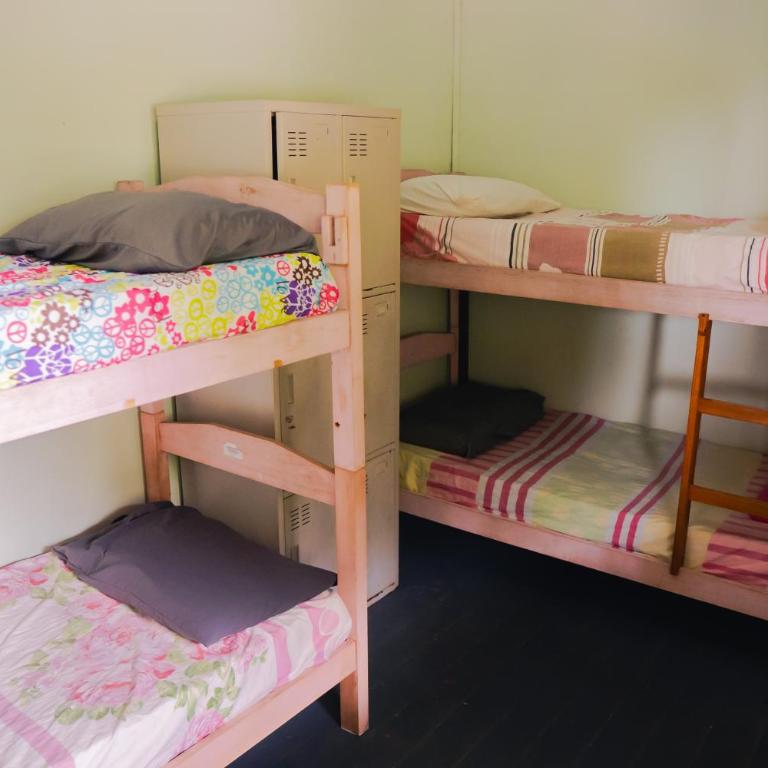 La Rubia Hostel - Bed in 6-Bed Female Dormitory Room - 5