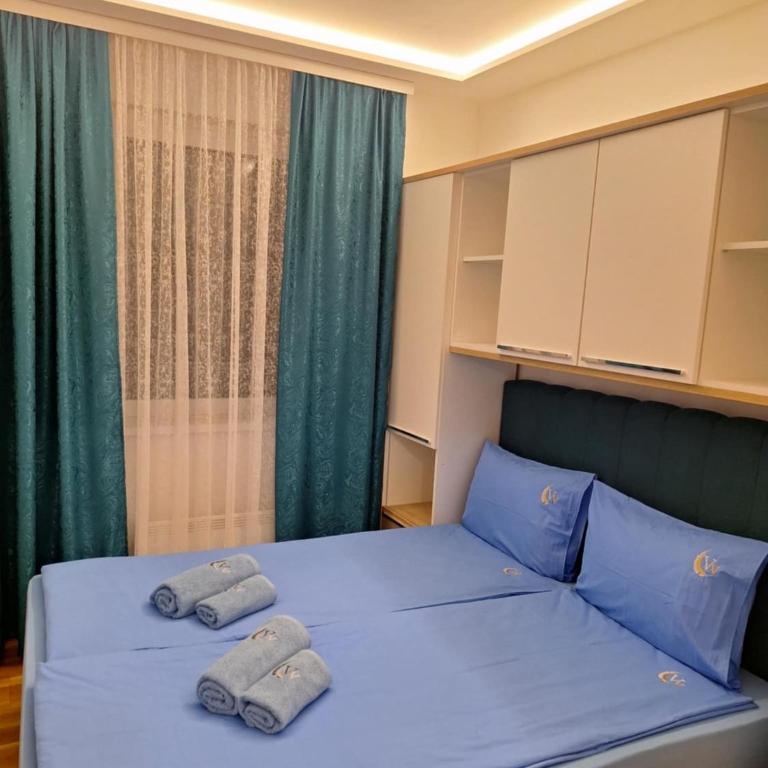 Victory & Vukasin Lux Apartmani - Apartman sa 1 Spavaćom Sobom - 7