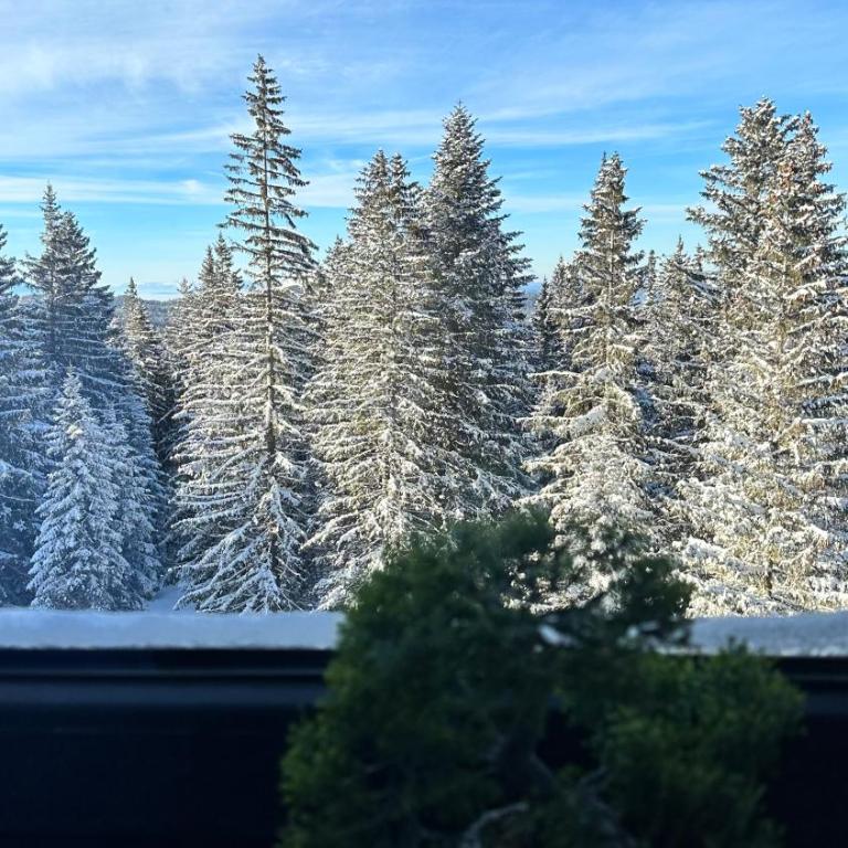 Snowtime Zlatni Javor 407 - One Bedroom Apartment with Mountain View - 49