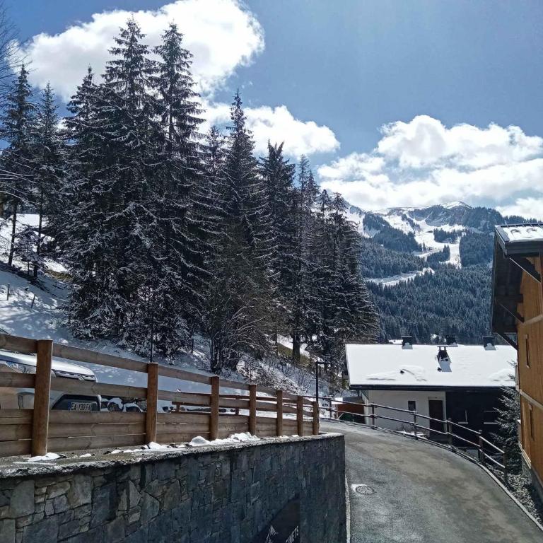 Chalet Authentique à Châtel, 6 Pers. - Appartement 1 Chambre - 10