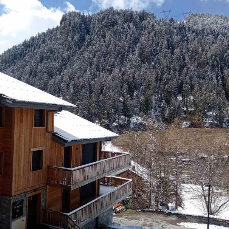 Chalet Authentique à Châtel, 6 Pers. - Appartement 1 Chambre - 12