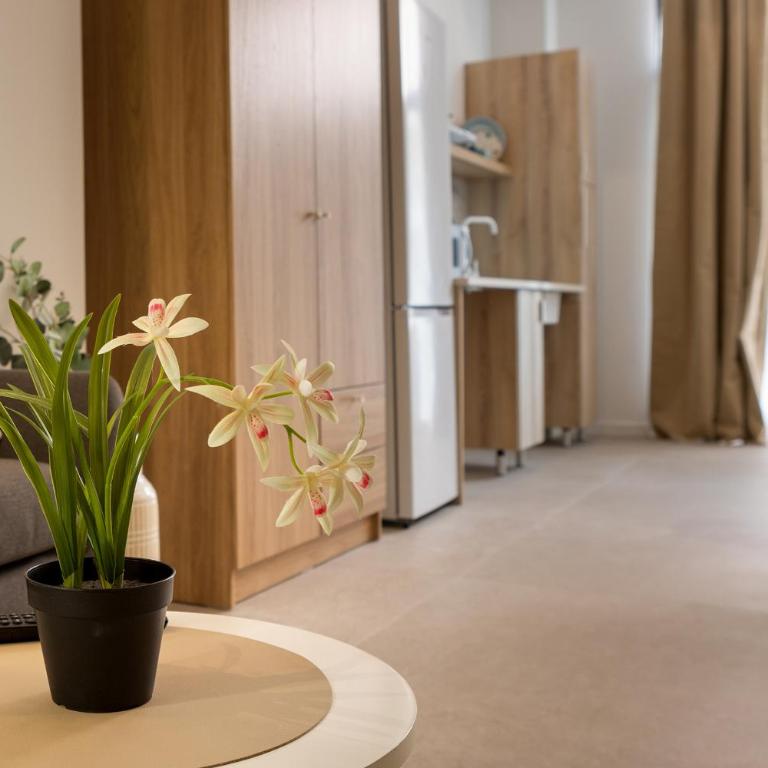RM1 - Loft Valencia cómodos estudios dúplex cerca a la Avenida del Puerto - Dúplex - 10
