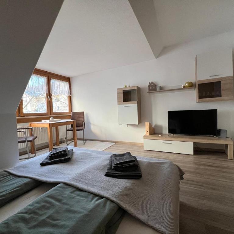 Ferienwohnung "Elsnerstrasse" - Studio-Apartment - 3