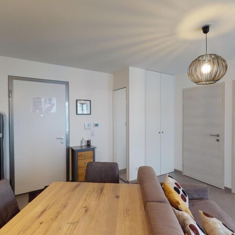Le Confort Annecy terrasse & parking privé - Apartment - 4