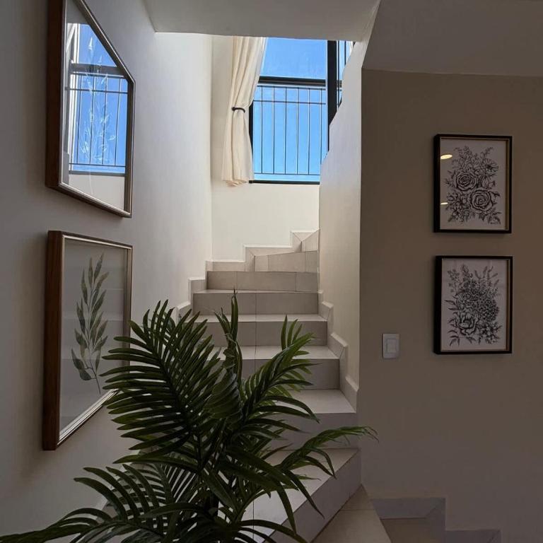 Ensenada Valle PH - Apartamento - 59