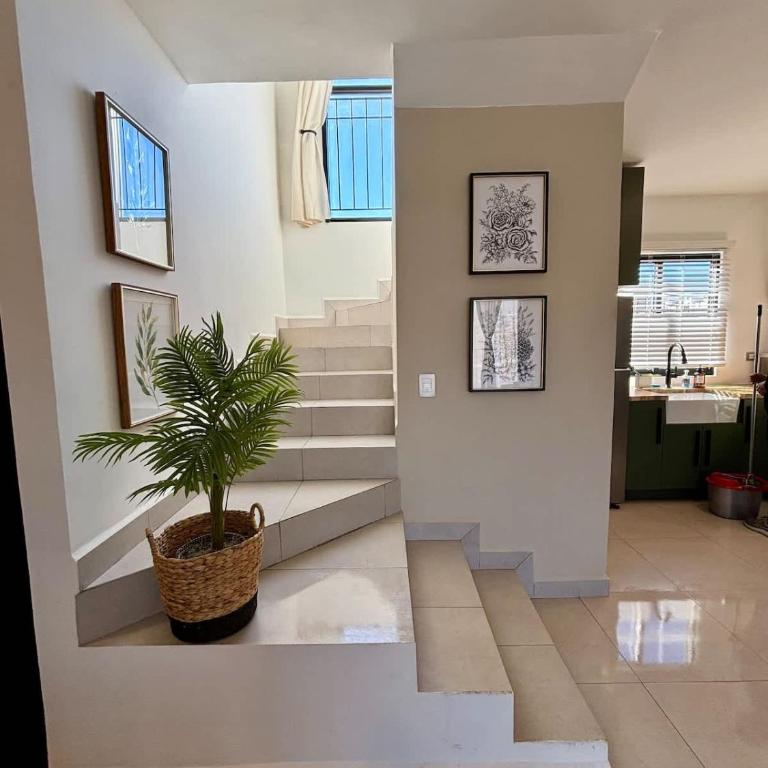 Ensenada Valle PH - Apartamento - 63
