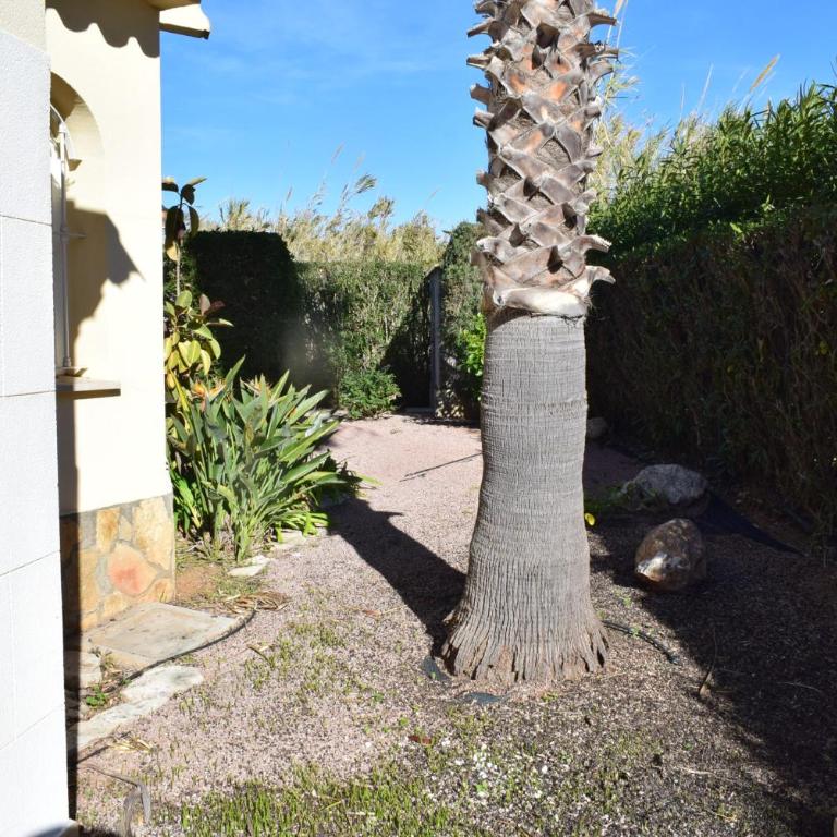Anacasa Picasso Oliva Nova CH1400 - Chalet de 2 dormitorios - 27
