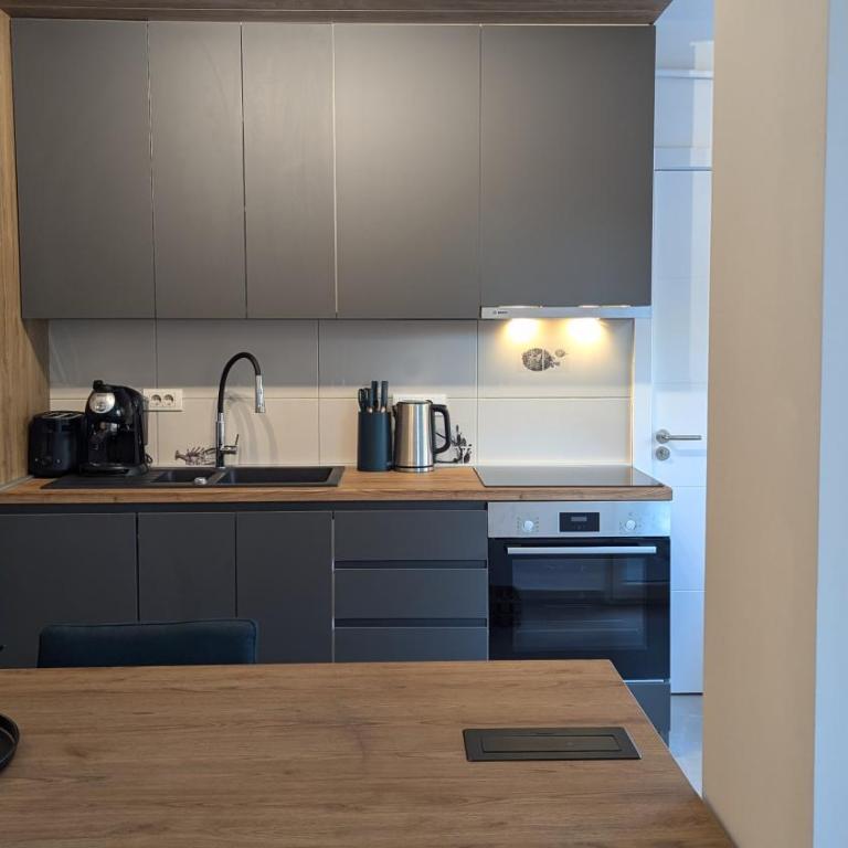Tesla Time MachiNS - Apartman sa 2 Spavaće Sobe - 9