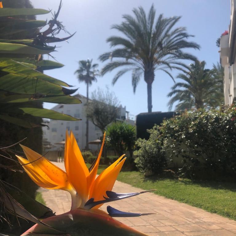 EXCLUSIVE APARTMENT 3 HAB Wifi - Three-Bedroom Apartment - 35
