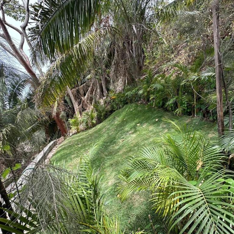 Vive Una Vista Espectacular - One-Bedroom House - 9