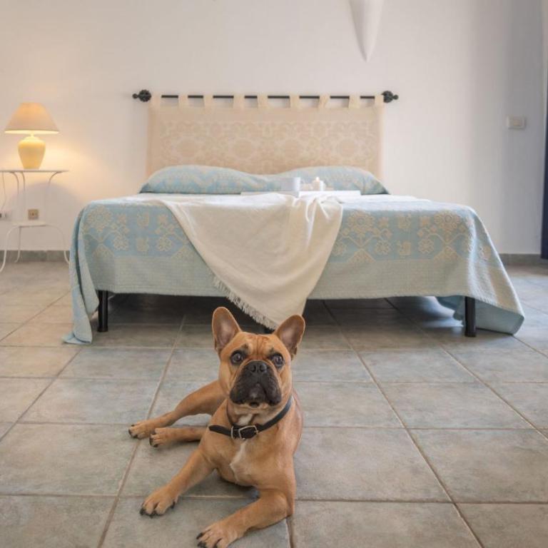 Tranquile Palau Green Village Studio Prem 2 person plus possible extra Child-Bed - Appartamento - 24