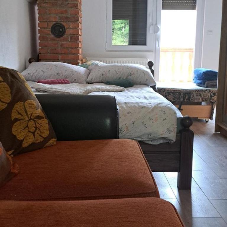 Apartmani Kamini RAVNA PLANINA - Family Studio - 2