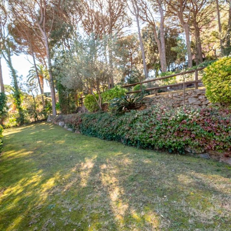 DS-2 Calella de Palafrugell 4 PAX - Apartamento de 2 dormitorios - 7