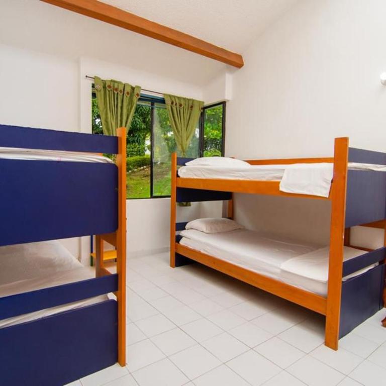 El Ensueño 1 - Apartamento de 3 dormitorios - 3