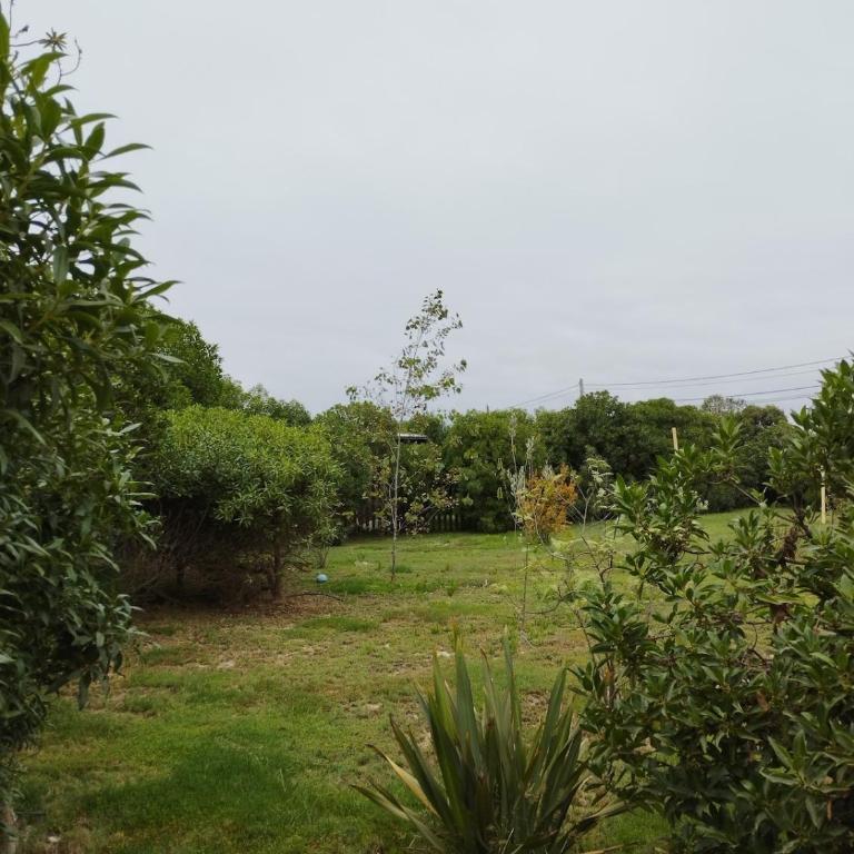 Cabaña playera con hermoso jardin a pasos de la playa - Two-Bedroom House - 13
