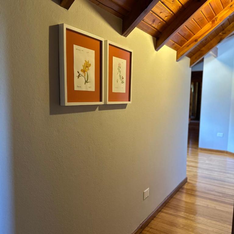 Complejo del Pedregoso -La naciente- Hosteria cAmarilla - Suite Familiar - 4