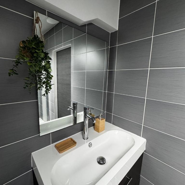 Chez Antonella centre Reims - Apartment mit 1 Schlafzimmer - 3