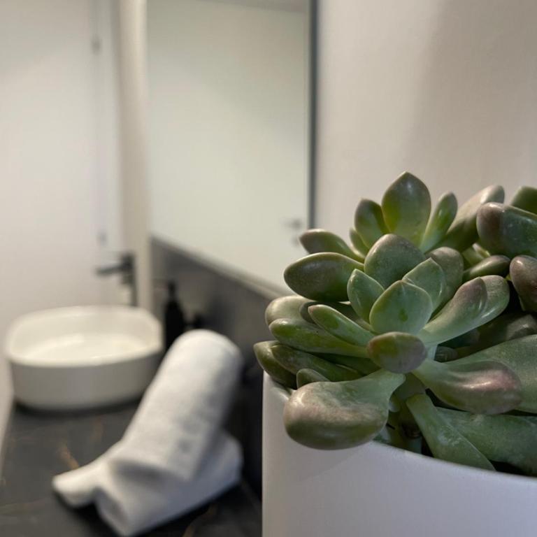 Casa Le Formiche Your home in Florence - Appartamento con 2 Camere da Letto - 20