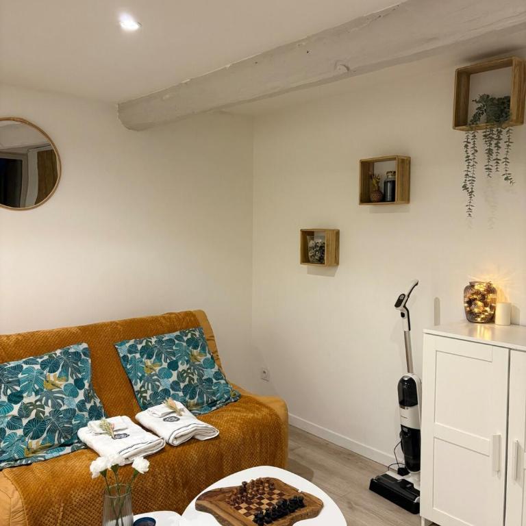 Studio de Charme, Plein centre - Apartamento de 1 dormitorio - 4