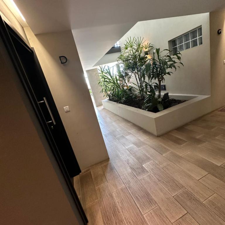 Tromarco Estudio - One-Bedroom Apartment - 10