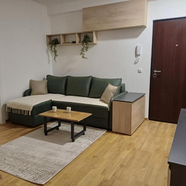 Forest River Sokobanja - Apartman sa 1 Spavaćom Sobom - 3