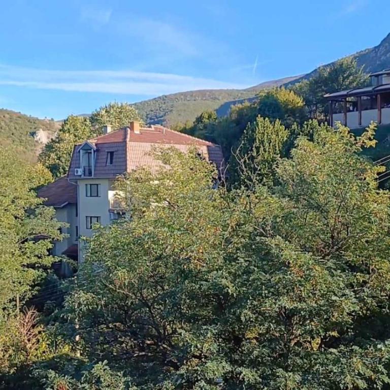 Forest River Sokobanja - Apartman sa 1 Spavaćom Sobom - 11