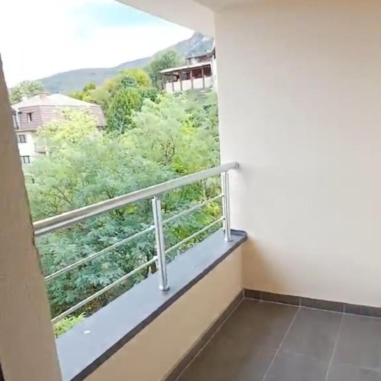 Forest River Sokobanja - Apartman sa 1 Spavaćom Sobom - 12