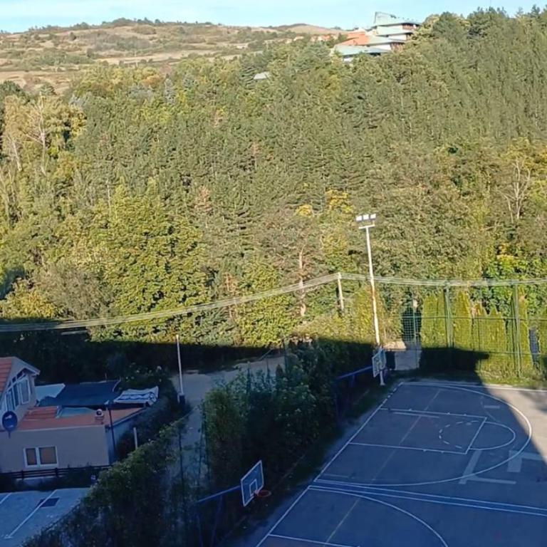 Forest River Sokobanja - Apartman sa 1 Spavaćom Sobom - 13