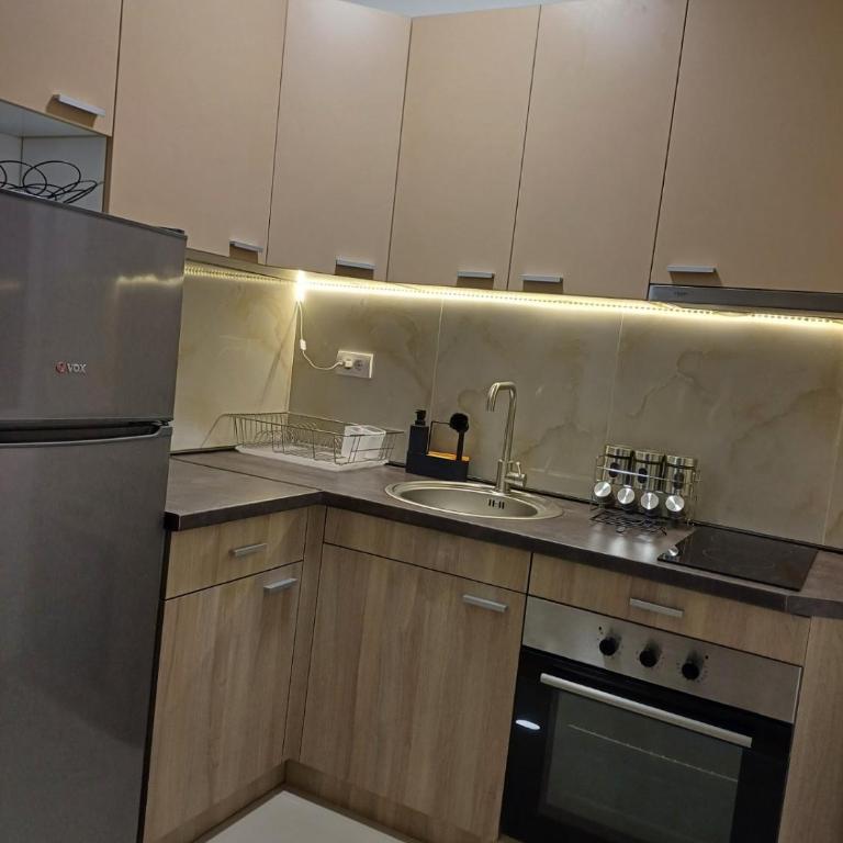 Forest River Sokobanja - Apartman sa 1 Spavaćom Sobom - 4